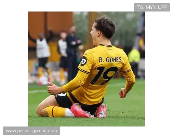 狼队再胜铁锤帮稳居安全区升班马三队降级倒计时加速形势愈发明朗