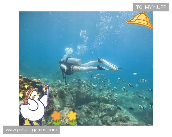 瘦下来后的第一件事是穿上美丽泳衣去神秘海底世界自由畅快潜水吧